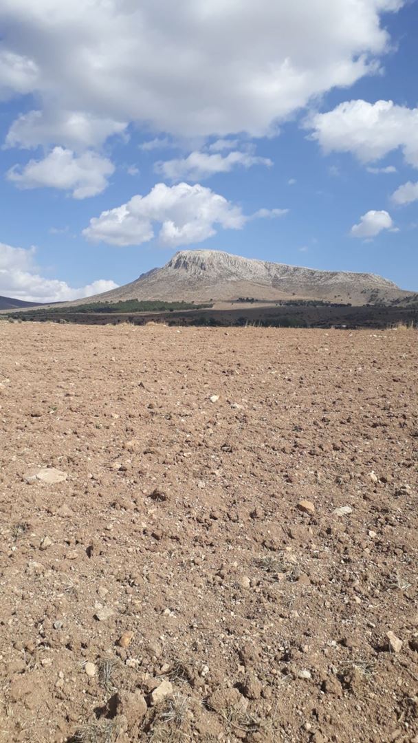 KONYA MERAM DA 2536 M2 MÜSTAKİL TAPULU TARLA