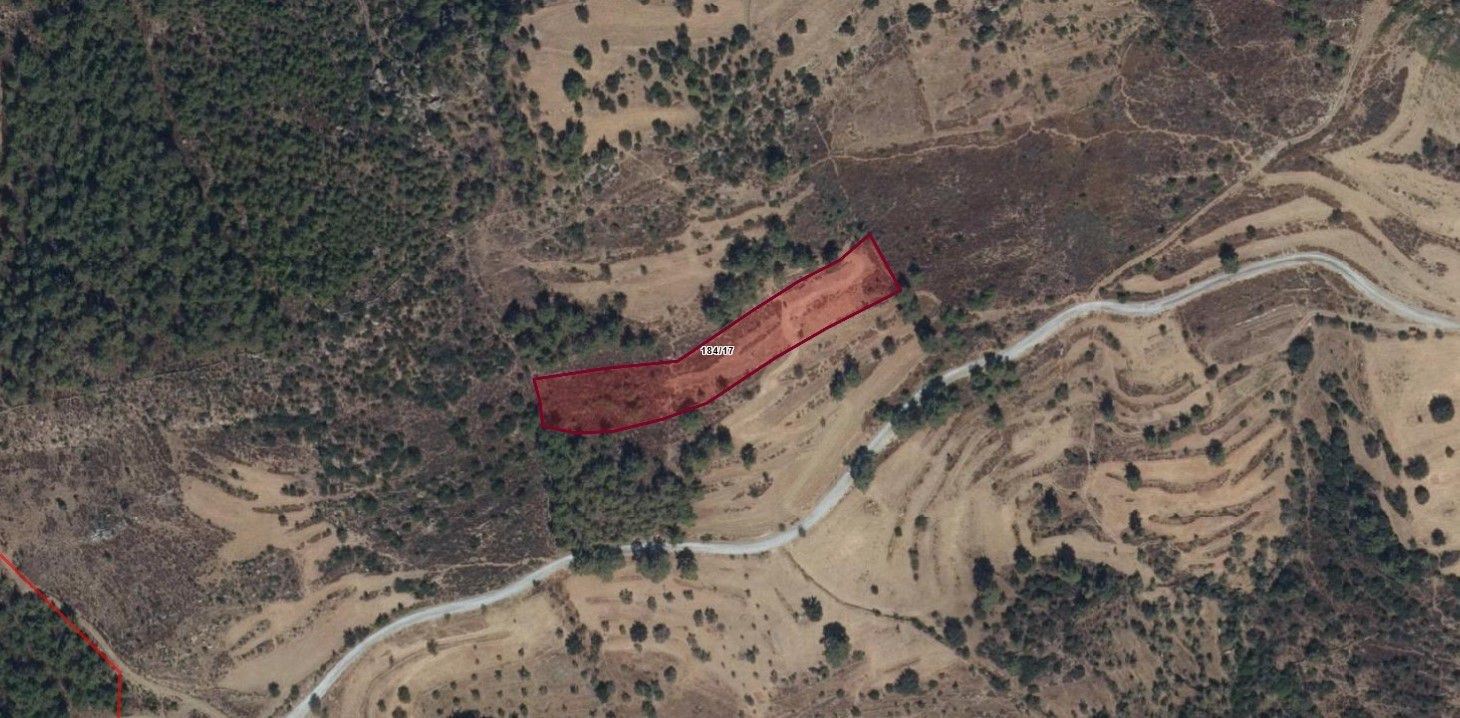 MUĞLA MİLAS ALAÇAM'DA KAÇIRILMAYACAK TARLA FIRSATI