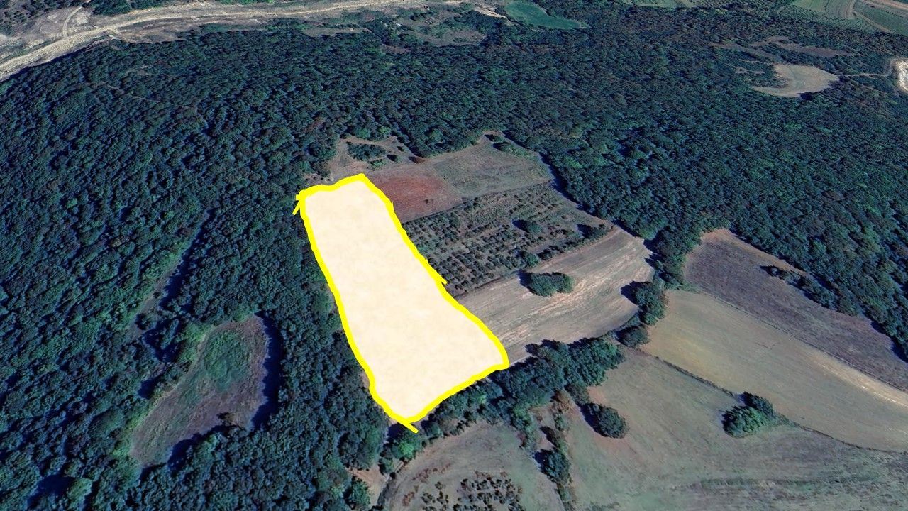 ALTIN EMLAK'tan Kandıra Çalköy'de 8.368 m² Yatırımlık Arazi