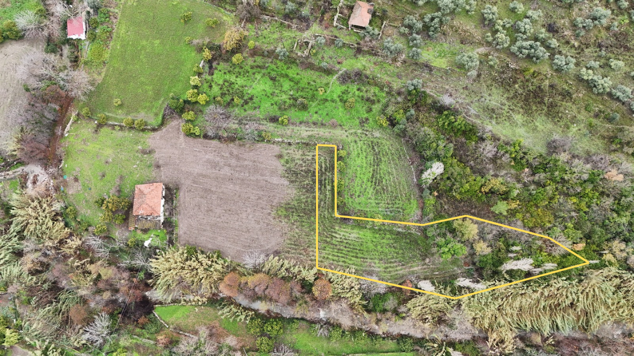 Dereköy'de 1355 m2 Satılık Tarla