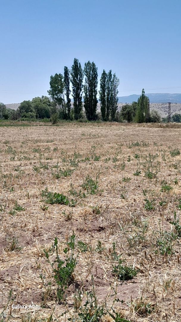 KONYA MERAM SAĞLIK TA 2482 M2 RESMİ YOL CEPHELİ TARLA, ELEKTRİK ALINABİLİR ANTALYA YOLUNA 300 MT