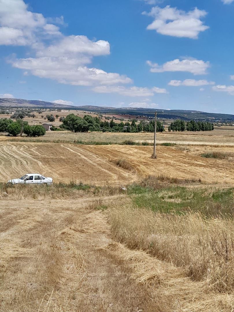 KONYA MERAM KIZILÖREN DE ATLIHAN ARKASINDA 2932 M2 TARLA, ELETKRİK DİBİNDE,RESMİ YOL VAR SULAK TARLA