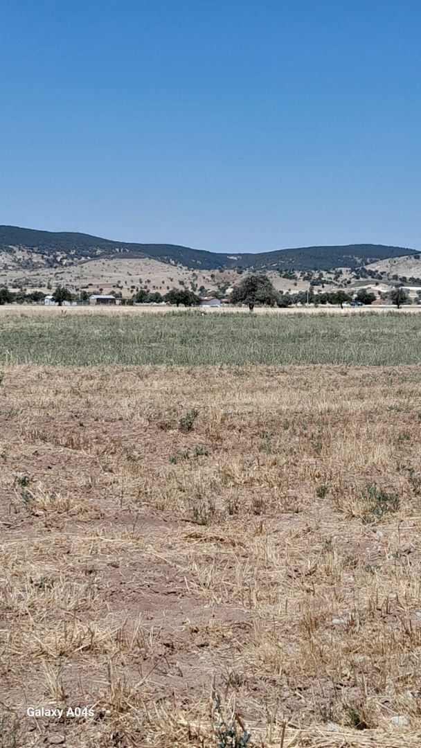 KONYA MERAM SAĞLIK TA KUPON ARAZİ ! ELEKTRİK DİBİNDE *SULAK*RESMİ YOL CEPHE 1746 M2