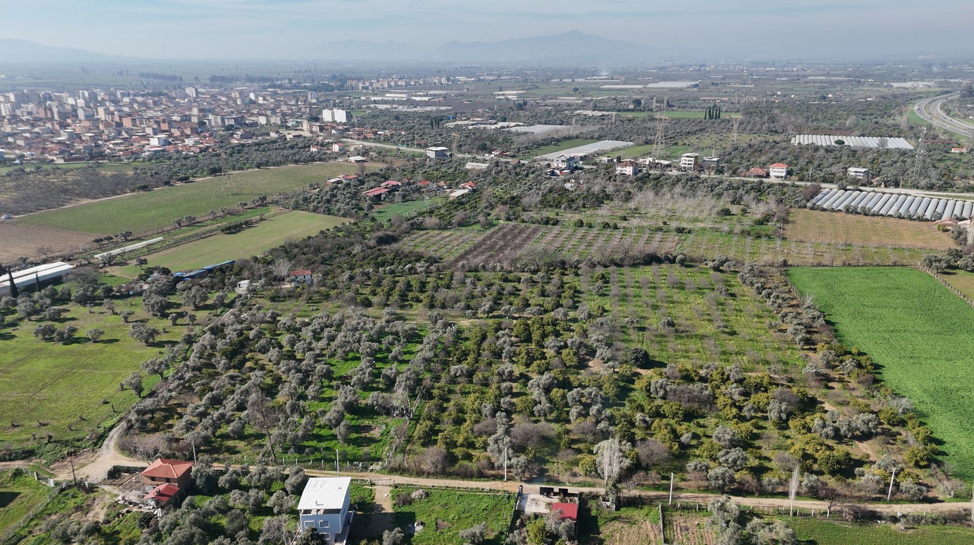 İncirliova 28.131 m² Gelişim İmarlı Komşu Fırsat Yatırım Arazisi